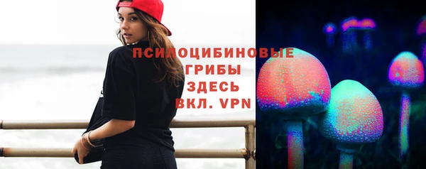 скорость Алексин