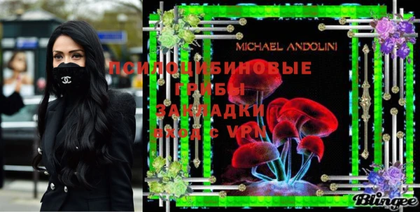 хмурый Алексеевка