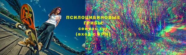 spice Абаза