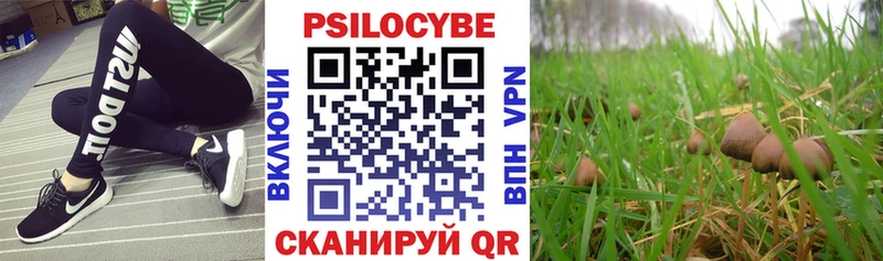 Галлюциногенные грибы мицелий  Советская Гавань 